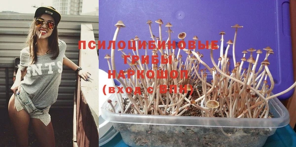 spice Арсеньев