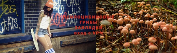 альфа пвп Армянск
