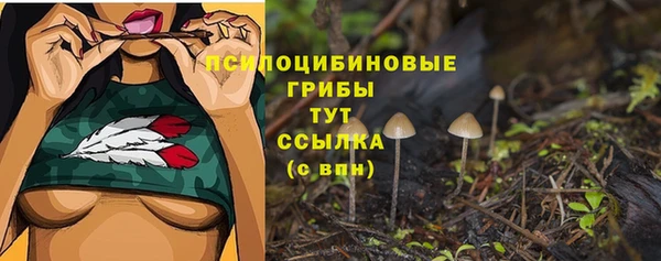 скорость Аркадак