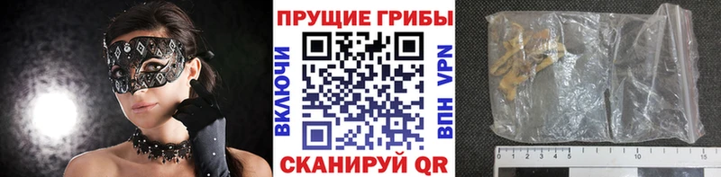 наркота  Заполярный  Псилоцибиновые грибы прущие грибы 